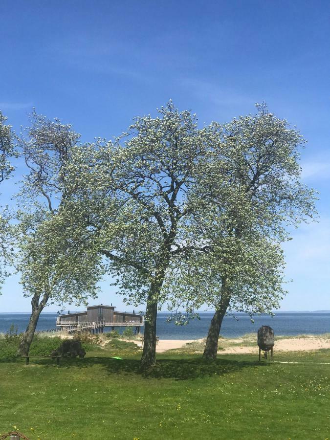 Tree Top Hill - The Old Station House - Bastad Holiday Apartments 外观 照片